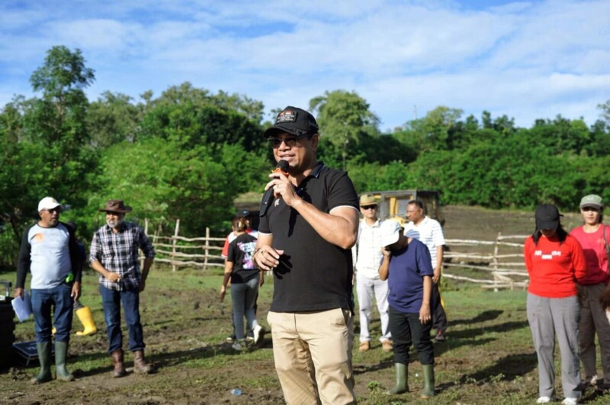 Wakil Bupati Belu Pimpin Kerja Bakti Penanaman Rumput dan Singkong di Peternakan Sonis Laloran  