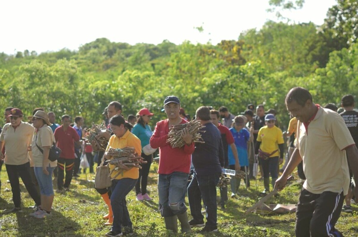 Ratusan ASN Ikut Kerja Bakti, Penanaman Pakan Ternak di Belu Berjalan Lancar