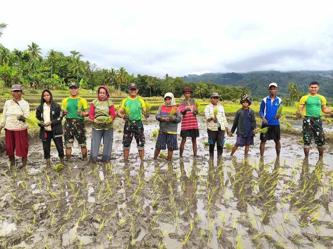 Dari Seragam ke Lumpur: Danpos Maubusa Memimpin Era Baru Pengabdian TNI untuk Rakyat. 