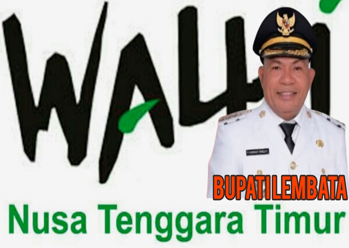 WALHI NTT Kecam Bupati Lembata: Catut Nama Tokoh Agama & Adat untuk Proyek Geotermal Atadei!