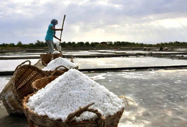 Proyek Sentra Garam Nasional: Rote Ndao Disiapkan Jadi Pusat Pertumbuhan Ekonomi Baru