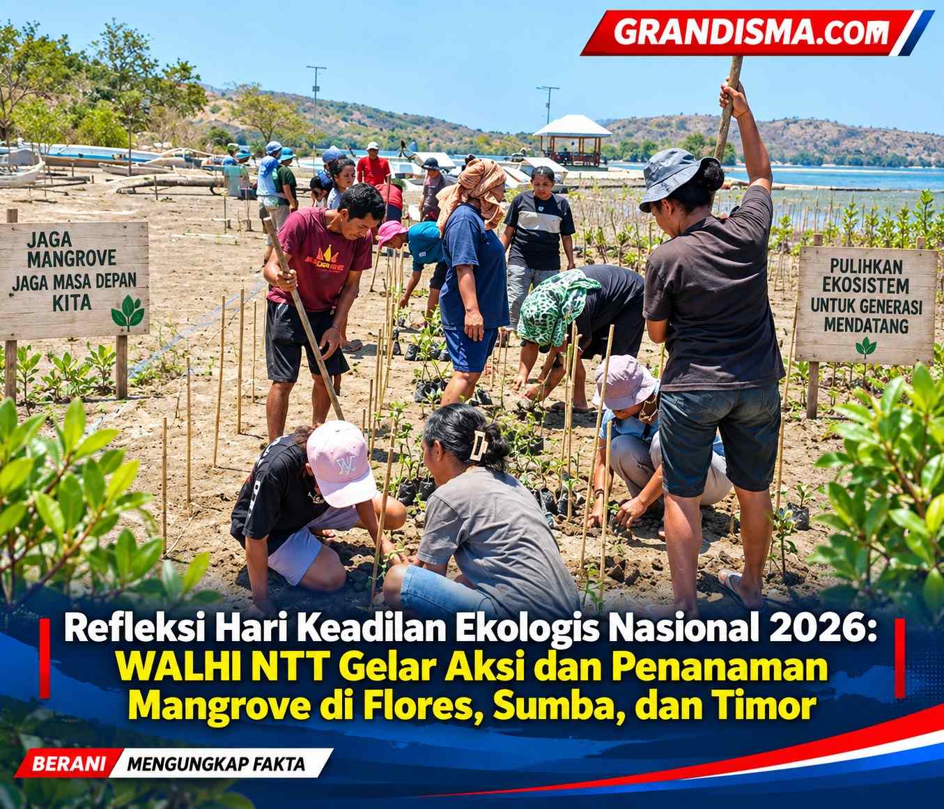 Refleksi Hari Keadilan Ekologis Nasional 2026: WALHI NTT Gelar Aksi dan Penanaman Mangrove di Flores, Sumba, dan Timor