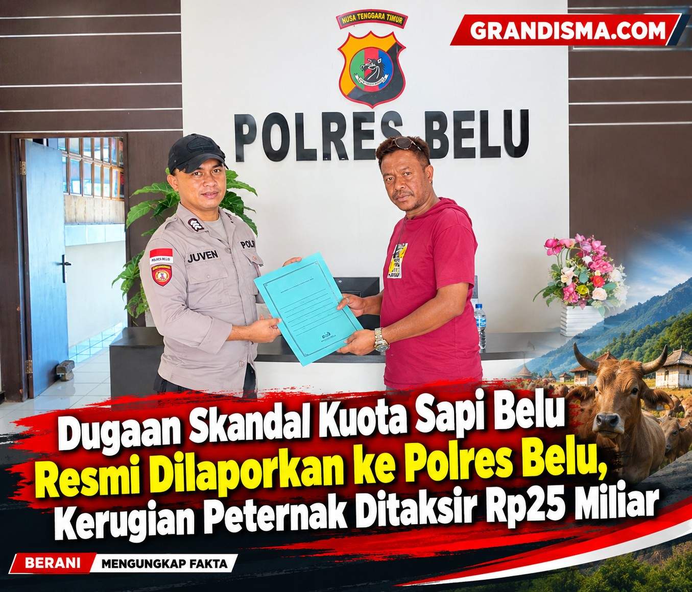 Dugaan Skandal Kuota Sapi Belu Resmi Dilaporkan ke Polres Belu, Kerugian Peternak Ditaksir Rp25 Miliar