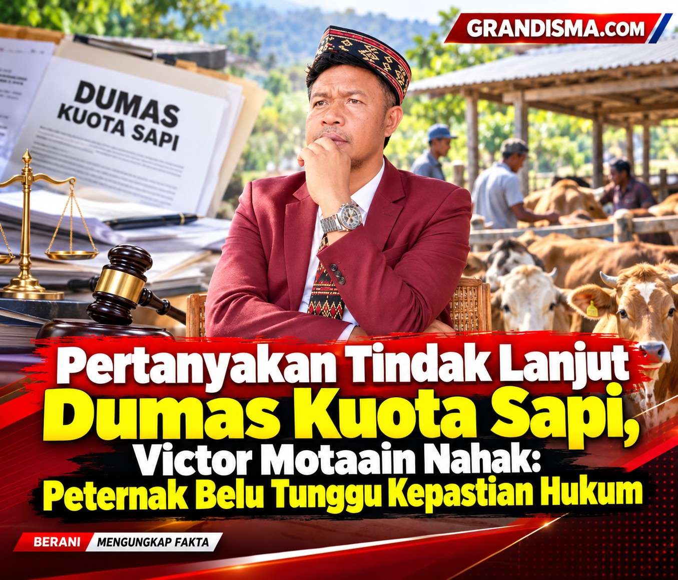 Pertanyakan Tindak Lanjut Dumas Kuota Sapi, Victor Motaain Nahak: Peternak Belu Tunggu Kepastian Hukum
