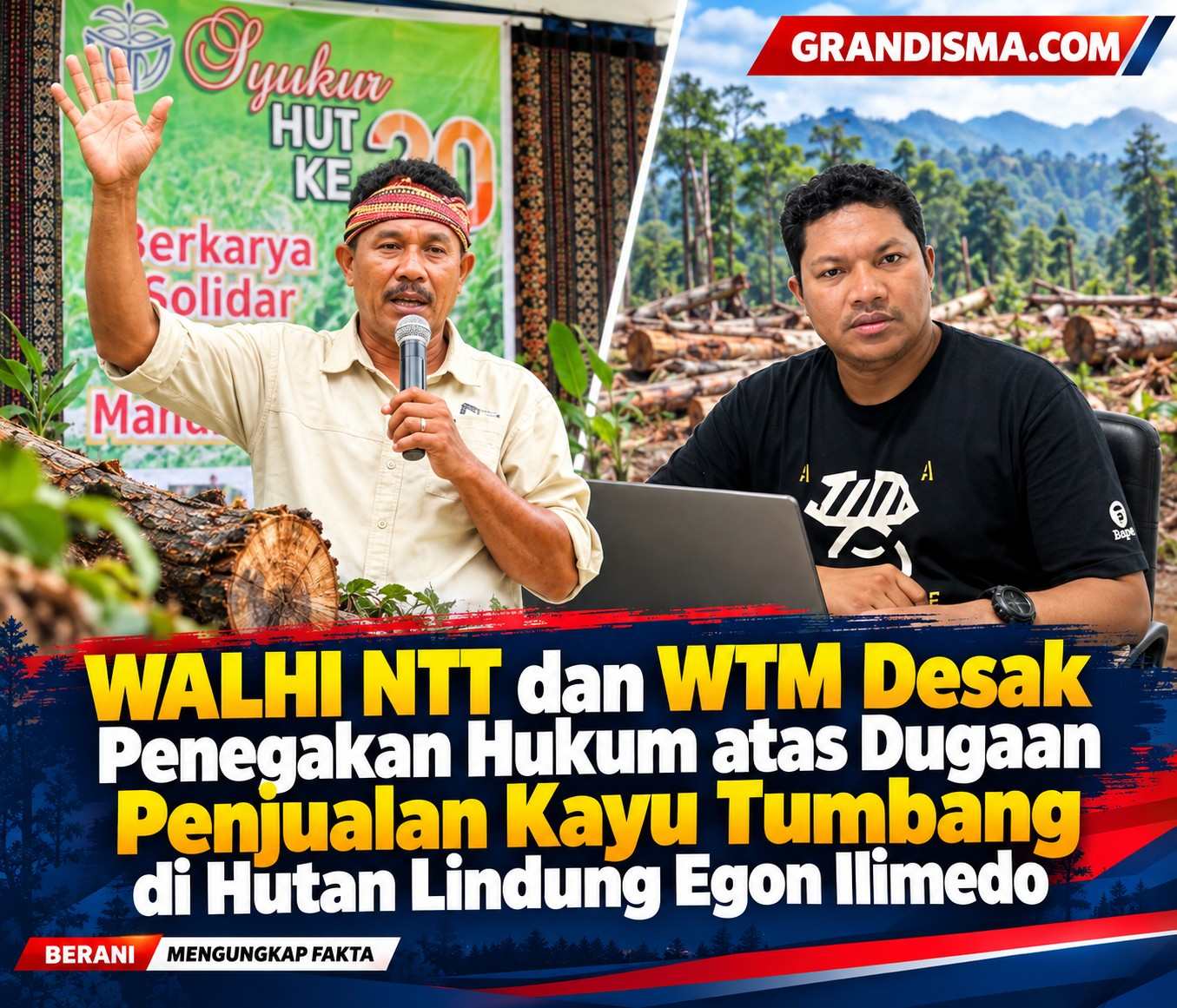 WALHI NTT dan WTM Desak Penegakan Hukum atas Dugaan Penjualan Kayu Tumbang di Hutan Lindung Egon Ilimedo
