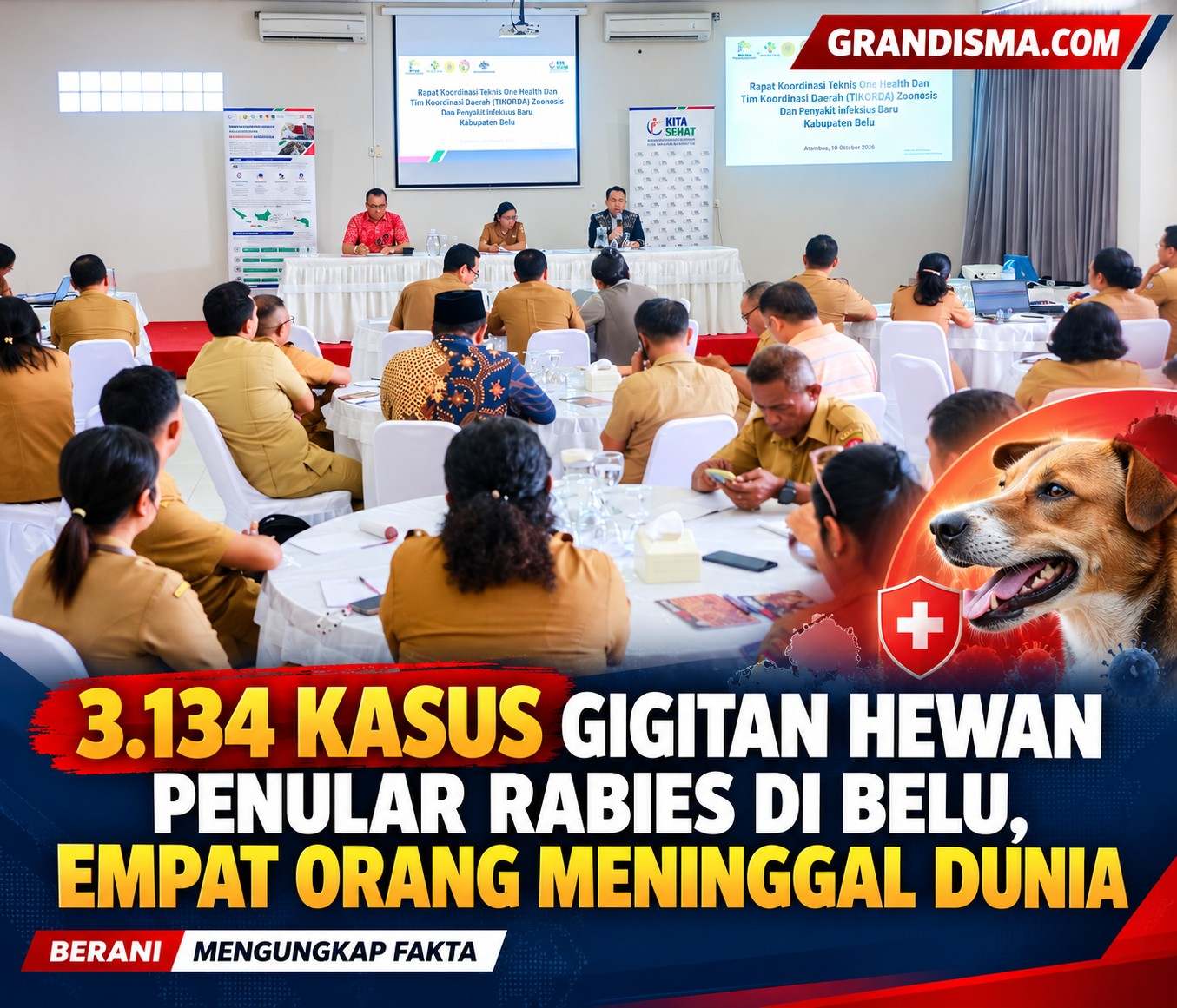 3.134 Kasus Gigitan Hewan Penular Rabies di Belu, Empat Orang Meninggal Dunia